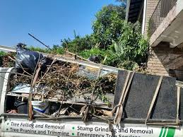 Professional Junk Removal Services in Painesville, OH